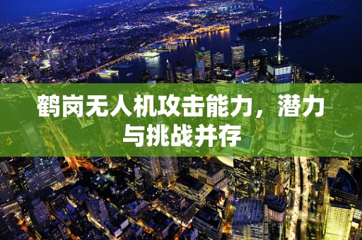 鹤岗无人机攻击能力，潜力与挑战并存