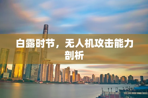 白露时节，无人机攻击能力剖析