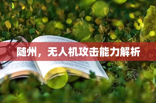 随州，无人机攻击能力解析