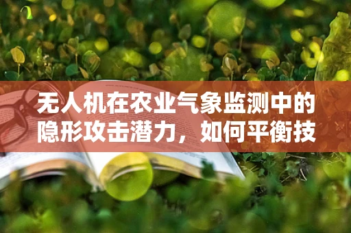 无人机在农业气象监测中的隐形攻击潜力，如何平衡技术与安全？