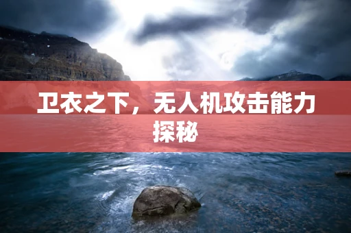 卫衣之下，无人机攻击能力探秘