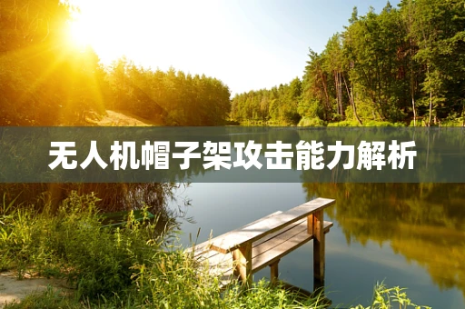 无人机帽子架攻击能力解析