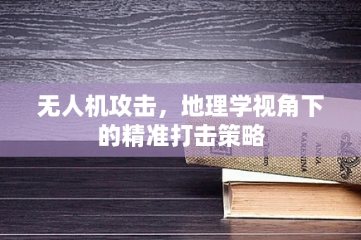 无人机攻击，地理学视角下的精准打击策略