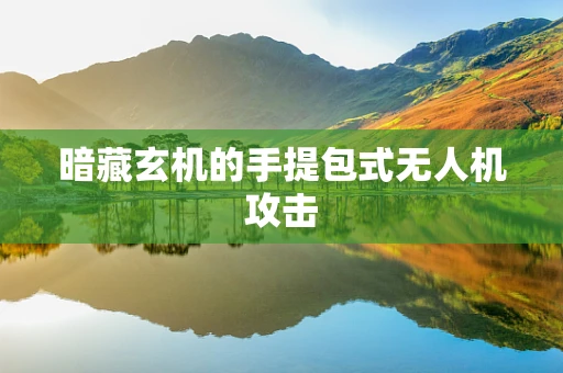 暗藏玄机的手提包式无人机攻击