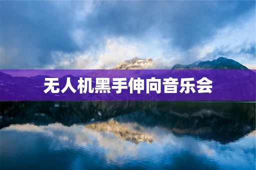 无人机黑手伸向音乐会