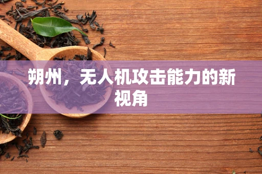 朔州，无人机攻击能力的新视角