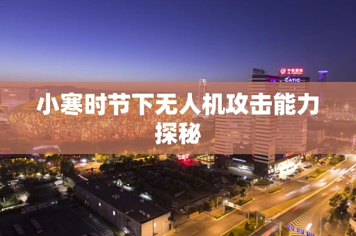 小寒时节下无人机攻击能力探秘