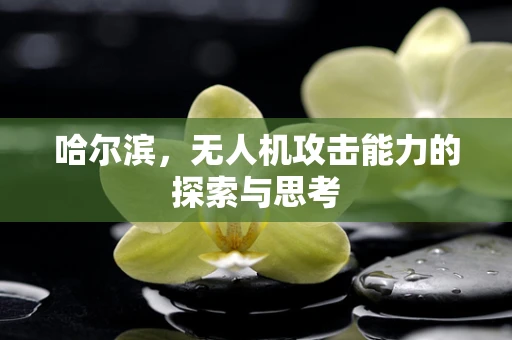 哈尔滨，无人机攻击能力的探索与思考