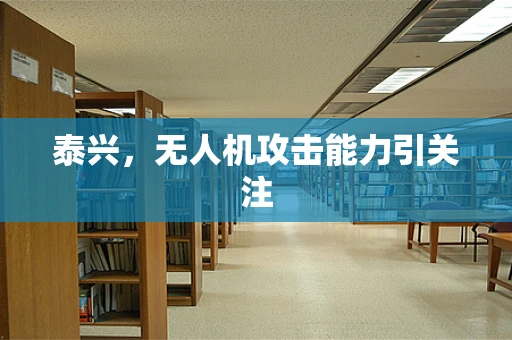 泰兴，无人机攻击能力引关注