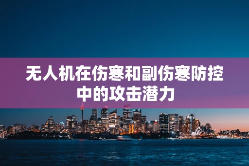 无人机在伤寒和副伤寒防控中的攻击潜力