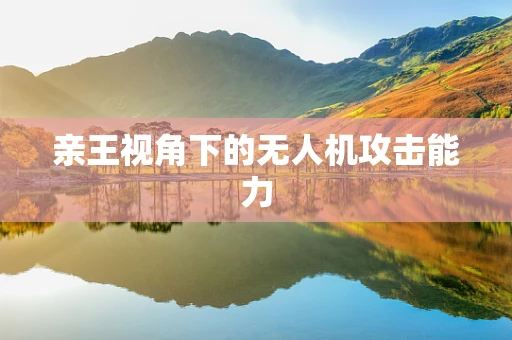 亲王视角下的无人机攻击能力