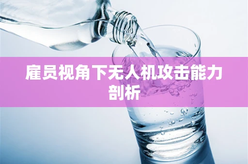 雇员视角下无人机攻击能力剖析