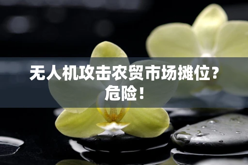 无人机攻击农贸市场摊位？危险！