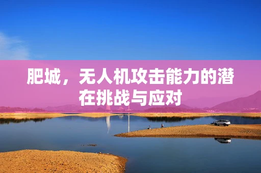 肥城，无人机攻击能力的潜在挑战与应对