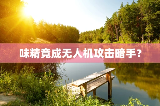 味精竟成无人机攻击暗手？