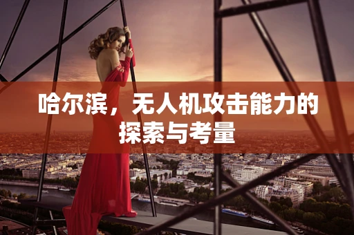 哈尔滨，无人机攻击能力的探索与考量