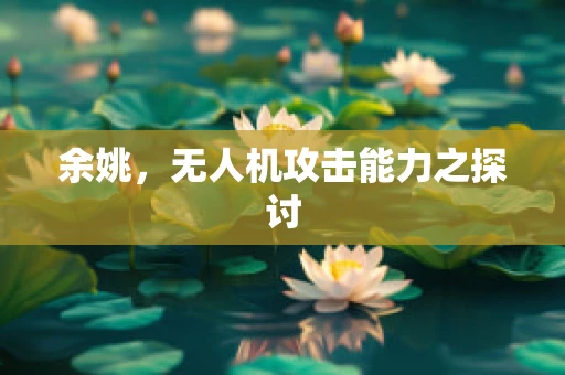 余姚，无人机攻击能力之探讨