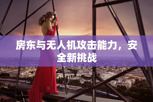 房东与无人机攻击能力，安全新挑战