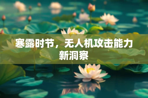 寒露时节，无人机攻击能力新洞察