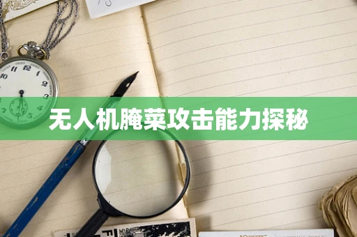 无人机腌菜攻击能力探秘