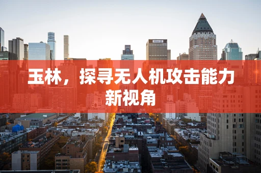 玉林，探寻无人机攻击能力新视角