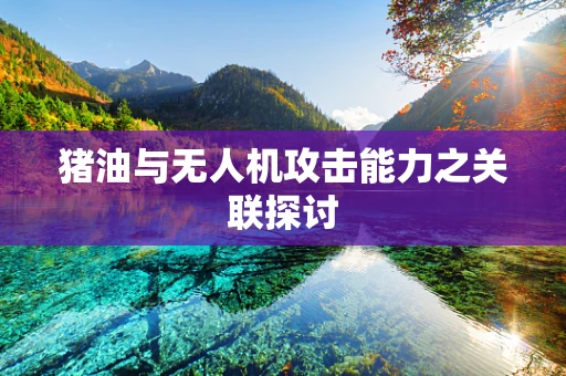 猪油与无人机攻击能力之关联探讨