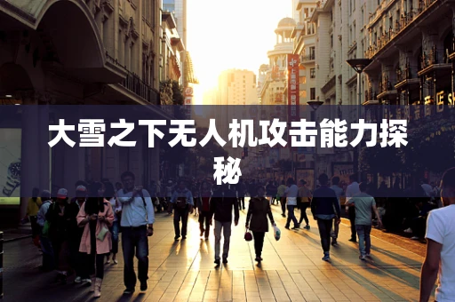 大雪之下无人机攻击能力探秘