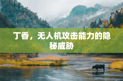 丁香，无人机攻击能力的隐秘威胁