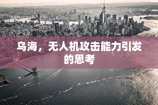 乌海，无人机攻击能力引发的思考
