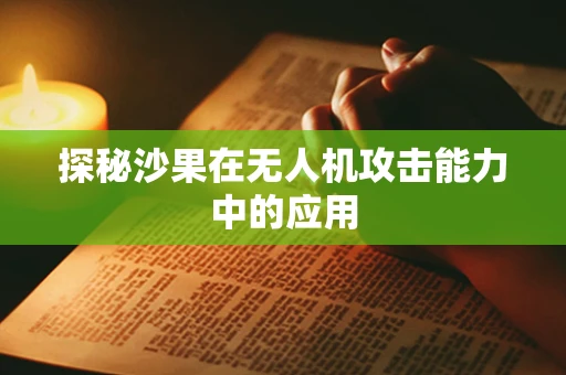 探秘沙果在无人机攻击能力中的应用
