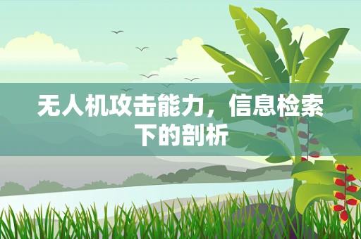 无人机攻击能力，信息检索下的剖析