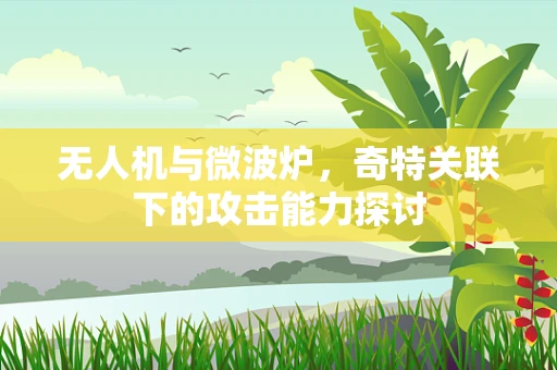 无人机与微波炉，奇特关联下的攻击能力探讨