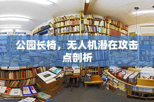 公园长椅，无人机潜在攻击点剖析
