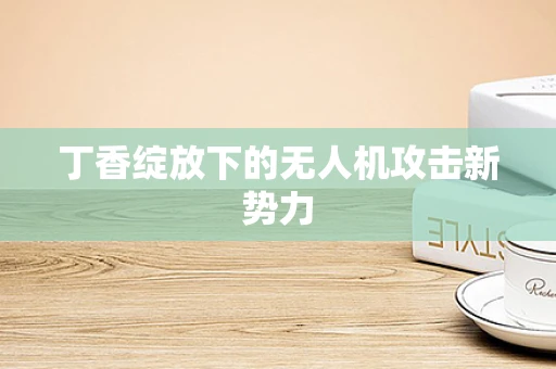丁香绽放下的无人机攻击新势力