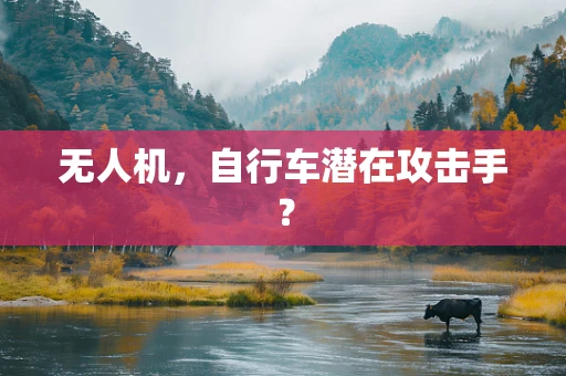 无人机，自行车潜在攻击手？