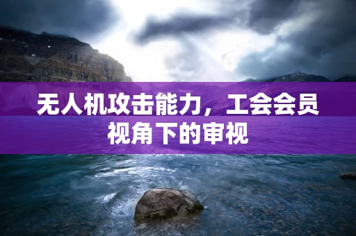 无人机攻击能力，工会会员视角下的审视