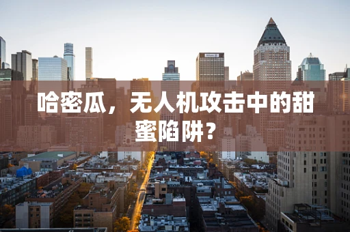 哈密瓜，无人机攻击中的甜蜜陷阱？