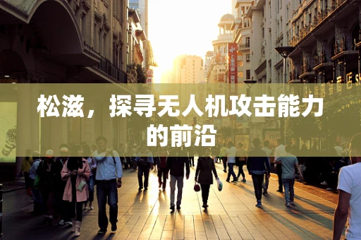 松滋，探寻无人机攻击能力的前沿