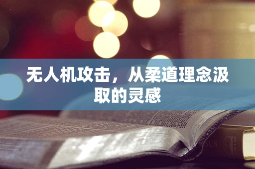 无人机攻击，从柔道理念汲取的灵感