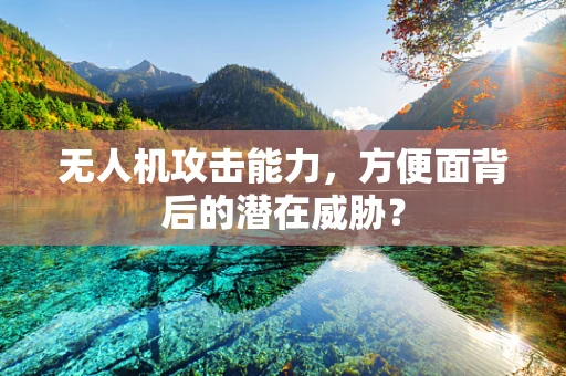 无人机攻击能力，方便面背后的潜在威胁？