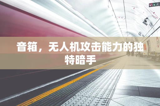音箱，无人机攻击能力的独特暗手