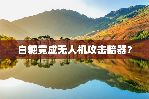 白糖竟成无人机攻击暗器？