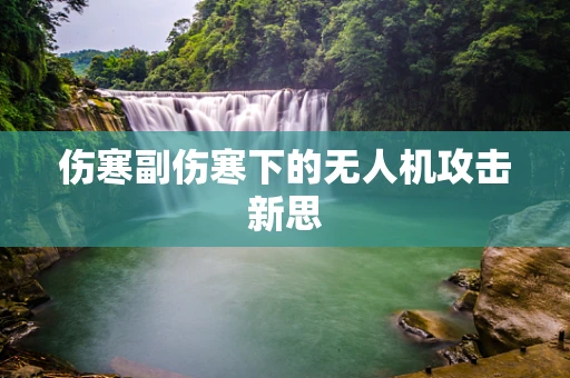 伤寒副伤寒下的无人机攻击新思
