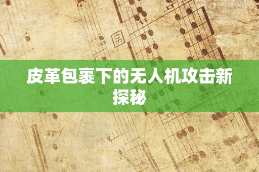 皮革包裹下的无人机攻击新探秘