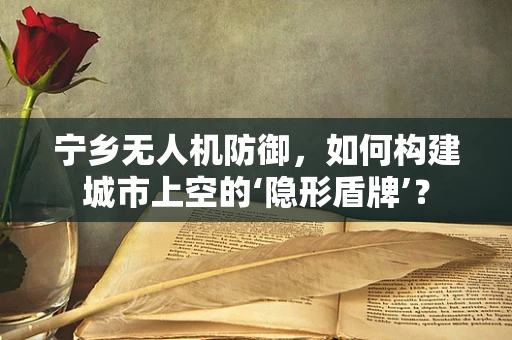 宁乡无人机防御，如何构建城市上空的‘隐形盾牌’？