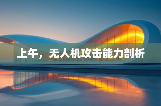 上午，无人机攻击能力剖析