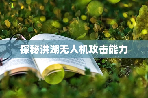 探秘洪湖无人机攻击能力