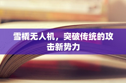 雪橇无人机，突破传统的攻击新势力