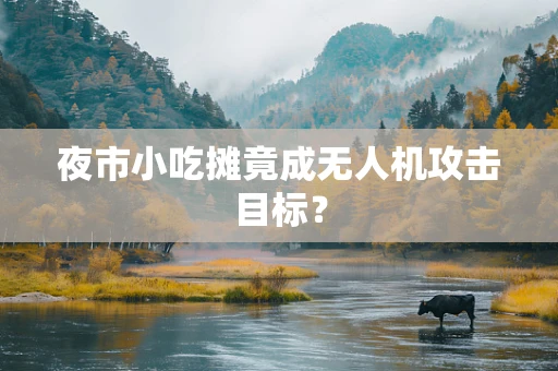夜市小吃摊竟成无人机攻击目标？