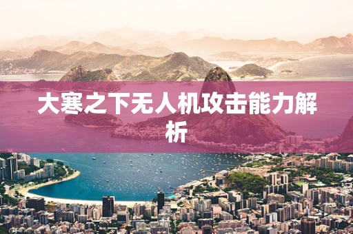 大寒之下无人机攻击能力解析